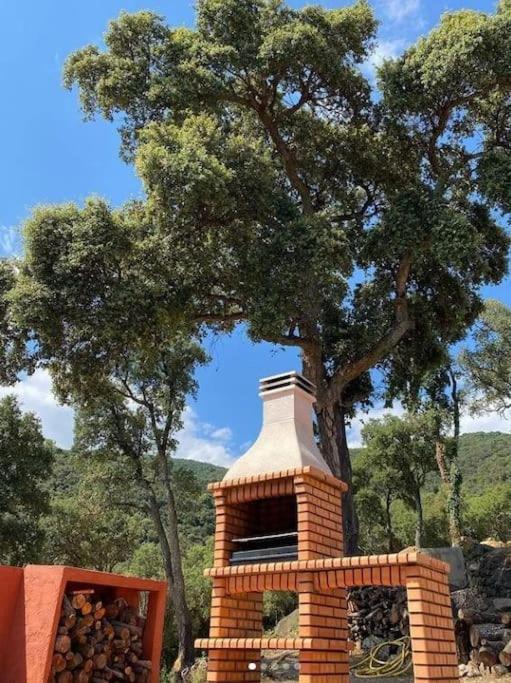 Masia Can Castellar サント・イスクレ・ダ・バリャルタ エクステリア 写真
